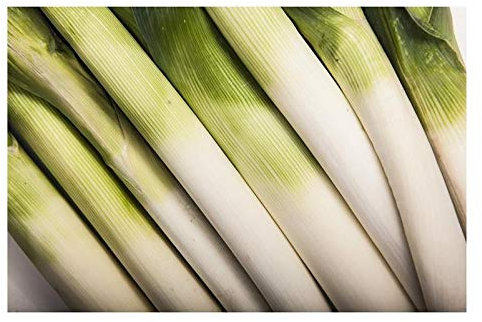 Pcs - 25x Écologique Poireau Herbstriesen Hannibal Légumes Plantes - Graines KS421 - Seeds & Plants Shop by Ipsa