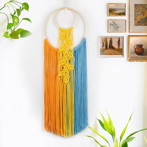 LB Boho Macrame Wall Hanging, Colorful Tapestry Wall Hanging Decor Handmade Yarn Dream Catcher Boho Macrame Decor for Living Room Apartment Office Backdrop,10X30 Inch