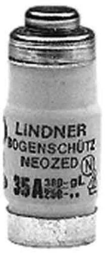 10 Stück MERSEN NEOZED-Sicherungseinsatz D02, 35A schwarz D02GG40V35