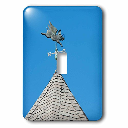 3dRose USA, Michigan, Mackinac Island. When Pigs Fly single toggle switch
