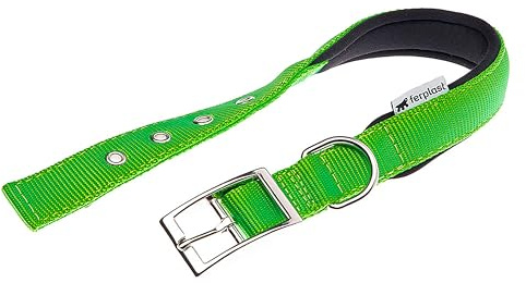 Ferplast Collare Cane Taglia Medio Grande Collare per Cani in Nylon Imbottito Regolabile Fibbia Metallica, Misura Collo 41-49 cm, Verde