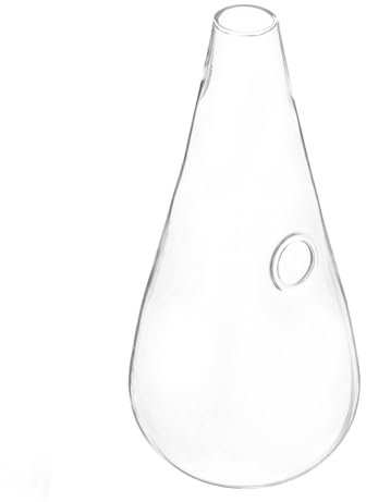 TOPBATHY JarróN De Vidrio Transparente Colgante para Pared, Florero HidropóNico con Agua Y Cristal, DecoracióN De Pared para Hogar Y JardíN