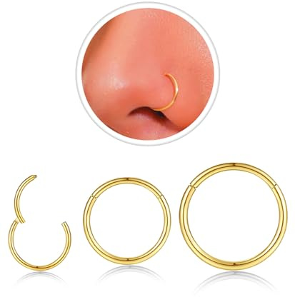3Pcs 18G Gold Nose Rings Hoop for Women Men,Hypoallergenic 316l Surgical Steel Hinged Clicker Segment Nose Rings Hoop Helix Cartilage Daith Tragus Sleeper Earrings Real Body Piercing Jewelry Diameter 6mm 8mm 10mm