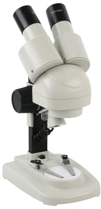 microscopi Microscopi for bambini Microscopio stereo binoculare portatile for l'istruzione dei bambini Laboratorio scolastico Istruzione domestica microscopio