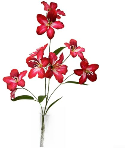 ZWEquipint konstgjord Bauhinia lilja silkesblommor 10 huvuden 90 cm för bröllop hem kontor dekor (röd)