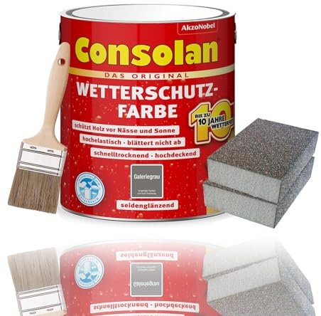 Consolan Kit de peinture de protection contre les intempéries - 2,5 l - Protection durable - Avec accessoires - Gris galerie