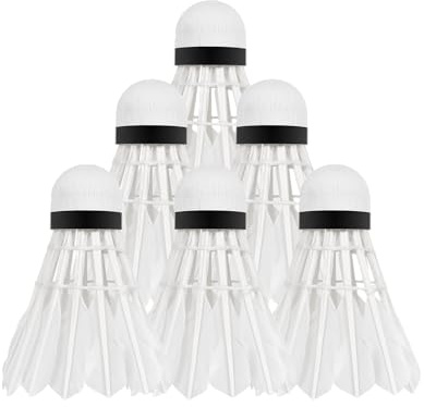 Rebel Volants Plumes pour Badminton en Plume Oie Tube 6pcs RBA-4103
