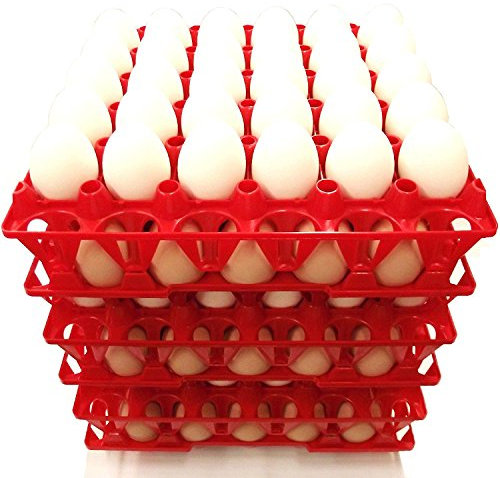 n. 10 pezzi cestello griglia portauova in plastica da 30 uova cadauno