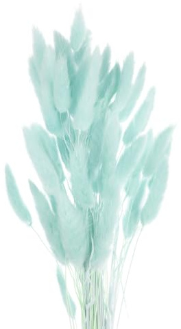 QUARKZMAN 50 st naturliga torkade blommor kaninfjädrar 18 tum mini Lagurus Ovatus bukett för hemblomdekoration, cyan