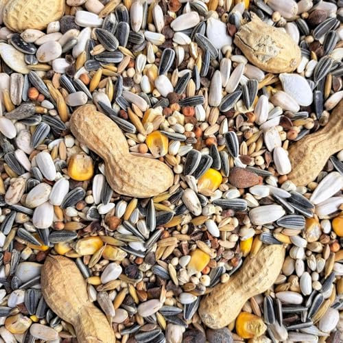 Supravit Papageienfutter Premium Futtermischung für Papageien 5kg - Saaten- & Körnermischung aus Deutschland