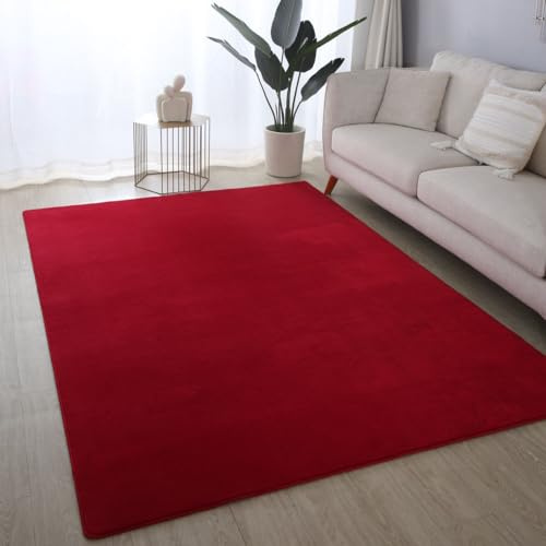 Ultra Soft Plush Anti-Slip Carpet Mat Living Room Large Area Rugs Modern Floor Bedroom Extra Large Size Non Shedding (Red, 120 x 170 cm)