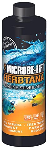 MICROBE-LIFT Herbtana Fish Medicine, Immune Booster and Parasite Treatment for Aquarium Fish Health, Ich Treatment, Use in Freshwater Tank or Saltwater Aquarium, 16 Ounces (HERB16)