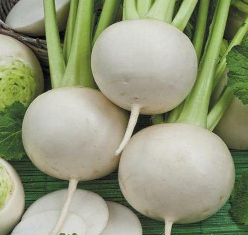 50 SEMI DI RAPA PALLA DI NEVE