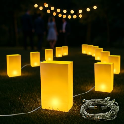 BlissfulTie Electric Luminary Bags Plug-in, Christmas Luminaries for Outdoors, Plastic Luminary Bags Waterproof, Reusable, Holiday Lighting Decor for Pathway, Walkway and Front Yard (Set of 10)
