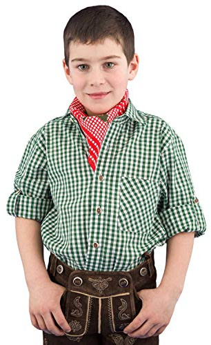 Isar-Trachten Camisa tradicional para niños 52915, camisa para niños y jóvenes, camisa tradicional verde a cuadros abeto 74 cm
