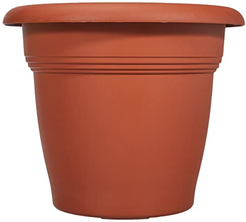 Tildenet 82240 24 x 19,5 cm Pot Terre Cuite