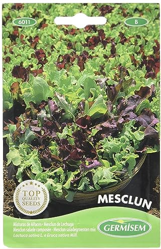 Germisem graines Mesclun salade composée MESCLUN