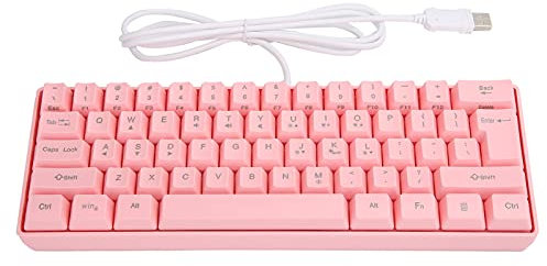 ciciglow Teclado con Cable, PC Gaming Keyboard RGB LED Backlit Computer Keyboard with USB Port Hub, 61Keys Spill Resistant Wired Mechanical Illuminated Gamer for PC, Laptop -