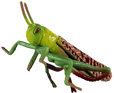 BESTonZON Plastic Grasshoppers Toys, Plastic Grasshoppers Insect Figures Toys, Realistic Animal Figurines Insect Toy, Green s Early Educational for Kids