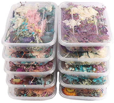 Natural Dried Flowers Natural Dried Flower Set Mixed Leaves Colourful Real Dried Flower Plant Making Resin for Making Aromatherapy Candles (1 Box)