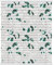 Lichtblick Plissee Klemmfix mit Motiv, ohne Bohren, Verspannt, Blickdicht, Lichtdruchlässig, Made in Germany, Julia Schumacher, Monstera - Grün 90 x 130 cm (B x L)