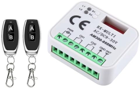 Bamberg Interruptor de Apertura de Puerta de Garaje Universal con 2 Mandos A Distancia RX Multifrecuencia 300-868 MHz Receptor 9-30 V 2 Canales Módulo de Relé