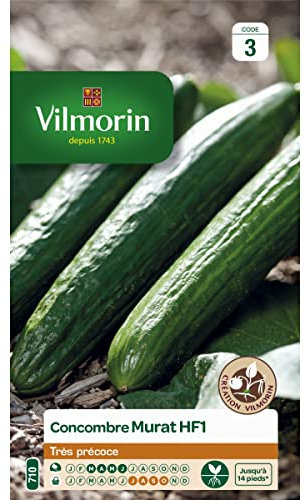 Vilmorin - Sachet graines Concombre Murat Hybride HF1