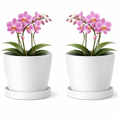 PECZEKO Macetero mate, maceta de plástico, maceta decorativa para plantas grandes y pequeñas, juego de 2 macetas con plato, maceta para hierbas, color blanco nieve, diámetro 25 cm