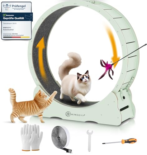 MIWOOYY Katzenlaufrad Großes Laufrad Katze 100cm – Minze Grün Katzenrad aus Massivholz für Drinnen, Katzen Laufrad mit Schloss und Minimiertem Spaltdesign