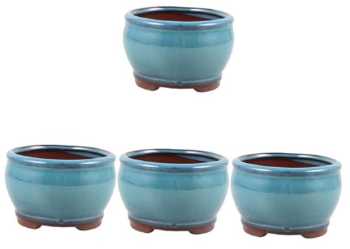 Kisangel 4 Uds Planta En Maceta De Espárragos Suculentos Decoración Floral Macetas Decoraciones Maceta De Planta Suculenta Maceta De Cerámica Maceta Decorativa Maceta De