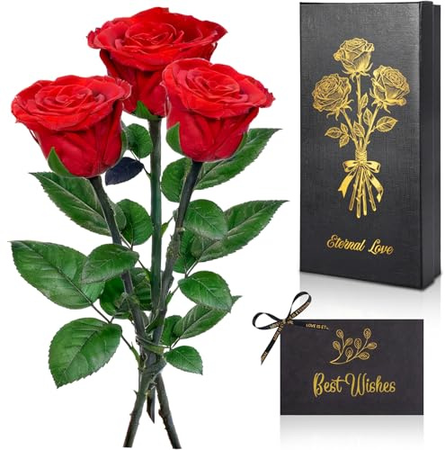 GRIRDDIV Rosa Eterna Regalos para Mujer, Rosa Preservada con Tallo Regalo Mujer, Flores Preservadas Ideas Regalos para Mama Novia Abuela Hermana Esposa, Regalo de Rosa preservada para Ella