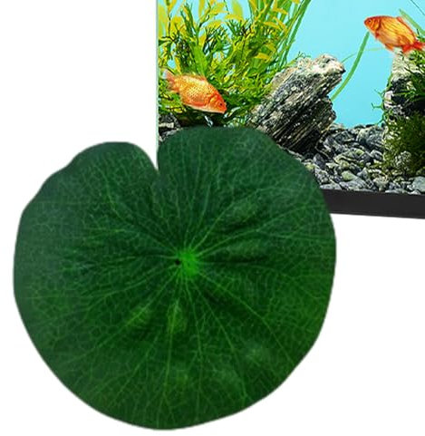 Nénuphar réaliste - Feuilles d'étang de grenouille d'étang de feuillage, coussinets de nénuphar, piscine d'étang, décor d'étang à poissons Koi, patio, décoration d'aquarium, décoration d'aquarium, déc