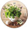 ARTLAND Wanddeko Wanduhr ohne Tickgeräusche Glas Quarzuhr Ø 30 cm Rund Lautlos Kräuter Gewürze Holzoptik Landhaus Landhausstil Food T5QG