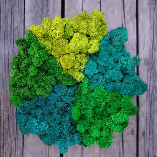 Prefleur Preserved Reindeer Mix Craft Moss Natural Green DIY Kit Gardenning Art Wall Decor Florist Easter Table Decor Wedding Decor (1lb)(Green-8 Green-5 Green-16 Green-13 Green-17)(Style-26)