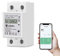 eMylo Compteur d'Énergie Numérique Monophasé AC 63A 220V WiFi Compteur électrique Monophase Wattmètre à Rail DIN Mesure Consommation Electrique, Disjoncteur, Convient à la Maison, l'appartement