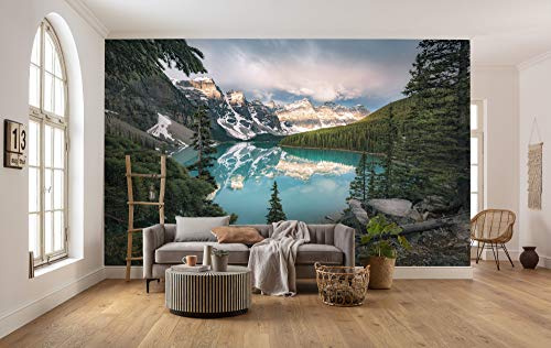 Komar SHX9-054 - Carta da parati fotografica in tessuto non tessuto, misura XXL, decorazione naturale, paesaggio, camera da letto, soggiorno, ufficio, corridoio, dimensioni 450 x 280 cm