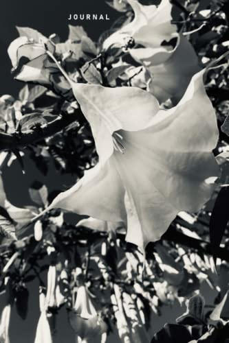 Journal: Datura, Angel Trumpet, Shaman Medicine, Plant, Black and White, Goth Series #3