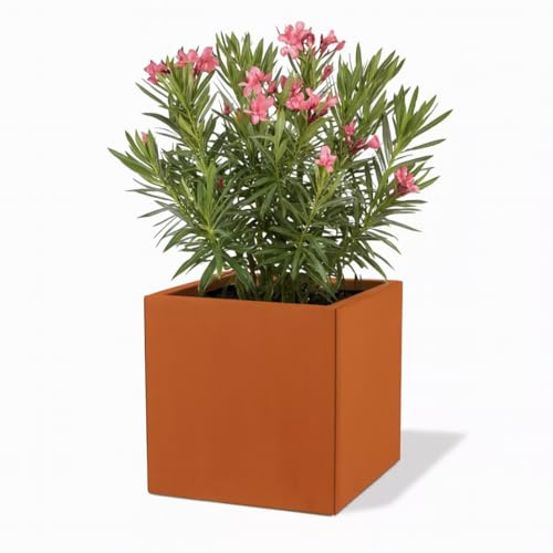 Czaja Corten Steel Fiorella Pot de fleurs 50 x 50 x 50 cm avec plaque de sol - Fabriqué en Allemagne - Pot de fleurs carré décoratif en rouille - Résistant aux intempéries et durable - Pour jardin