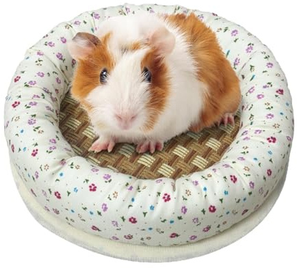 Divano a forma di scoiattolo, rotondo, in paglia naturale, 20 x 20 x 4 cm, traspirante, per animali domestici, in paglia, design per dormire, uso in gabbia per criceti, ricci, cincillà