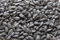 20 KG Schwarze Sonnenblumenkerne Vogelfutter