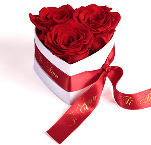 ROSEMARIE SCHULZ Heidelberg Infinity Rose Box Cuore – 10 x 12 cm 3 rose conservate durano 3 anni – migliore amica regalo (Ti Amo, rosso)