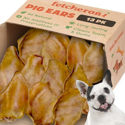 FETCHERONI Whole Pig Ears for French Bulldogs Large - 13 Pack Long Lasting Dog Chews – Treats Single Ingredient Delicious All Natural Flavor – Easy to Digest Treats for Large Pets