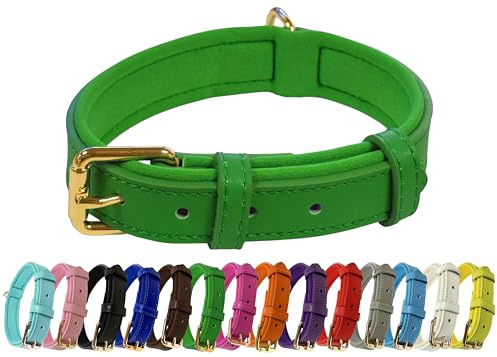 Vibrant Genuine Leather Adjustable Dog Collar with Soft Neoprene Padding, Metal Buckle and D-Ring, For Small, Medium & Large Dogs (Green, Medium (28-36cm Neck))