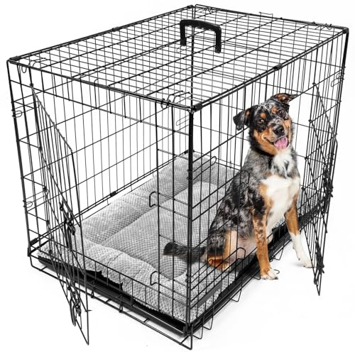 DogCrates+ Small Foldable Dog Crate with Bed,2 Doors Design, Non-Chew Plastic Removable Tray, 24-Inch Black