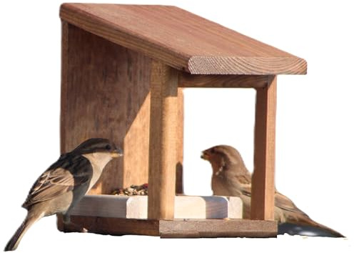 Mangiatoia per Uccelli in Legno Naturale da Giardino Balcone e Terrazzo – Resistente con Trattamento Anti-Umidità – Casetta Decorativa per Uccelli con Semi Inclusi