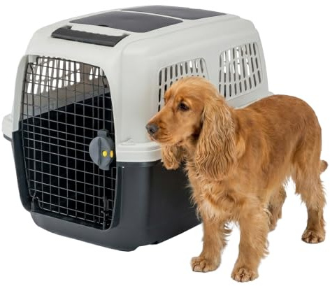 Ferplast Cage de Transport pour Chiens, IATA, Boite Panier Transport Chien Moyen Max 20 Kg, Fermeture sécurisée, Compartiment pour Accessoires, Poignée Amovible, 71 x 50 x h 51 cm