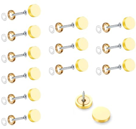 Wopanxye Tornillos de espejo de 10 mm, 12 juegos de clavos de espejo gruesos de acero inoxidable 304 con tapas decorativas para accesorios de muebles, mesas, platos de baño, armarios, letreros de