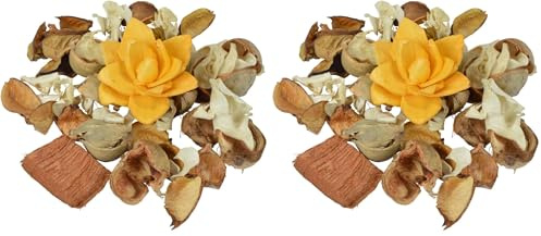 Homéa, Pot-Pourri 110G Essentiel Parfum Orange Epicée (Lot de 2)