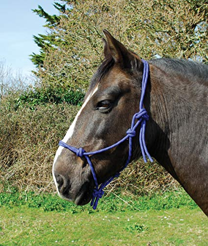 Rhinegold Rope Halter-Pony-Black