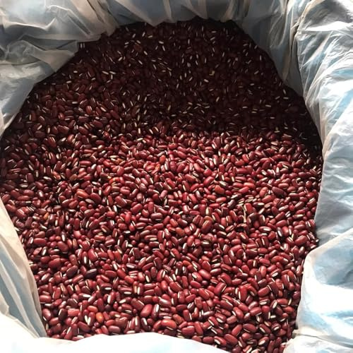 semillas orgánicas de frijol azuki Comprar de invierno orgánicas de frijol rojo, frijol verdes 200pcs